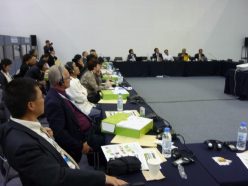 砂漠化対処条約第10回締約国会議でのサイドイベント（2011年10⽉、韓国・昌原）