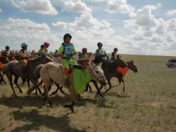 地方のお祭りで開催された競馬