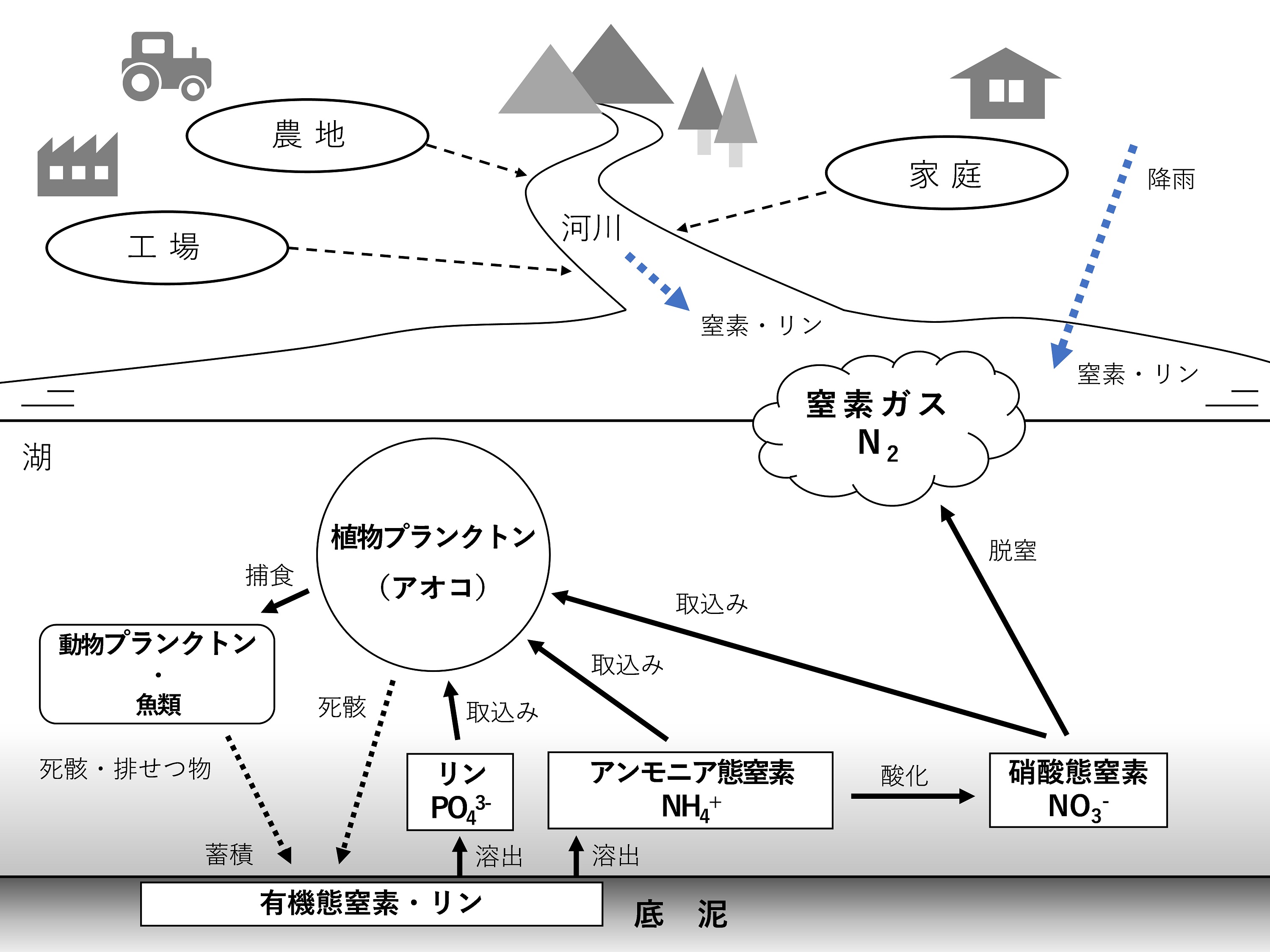日本湖沼誌 : プランクトンから見た富栄養化の現状 2