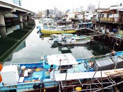 地球と人間が共生する環境づくりのための研究、提言、連携の場づくりに取り組んでいます情報誌グローバルネット日本の沿岸を歩く―海幸と人と環境と第47回　漁業権放棄後も続く自由漁業のアナゴ漁―東京湾・横浜子安浜サポートする