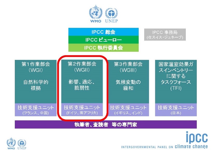 IPCC　第2作業部会